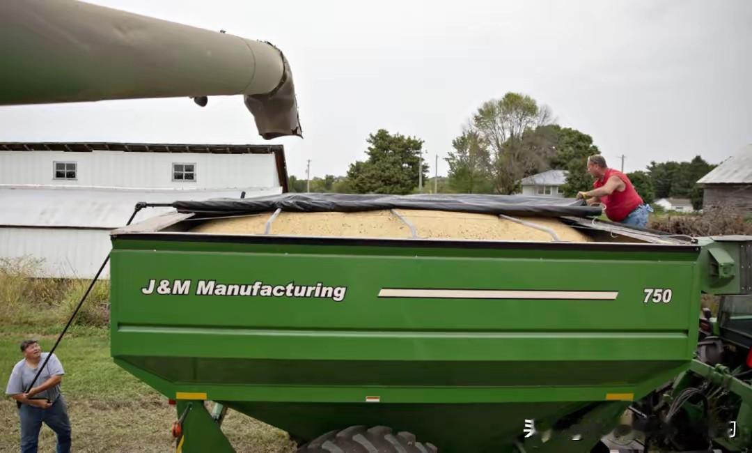 最近有个消息挺有意思:中国一口气买了近18万吨美国大豆。要知道,整个秋天咱们几乎