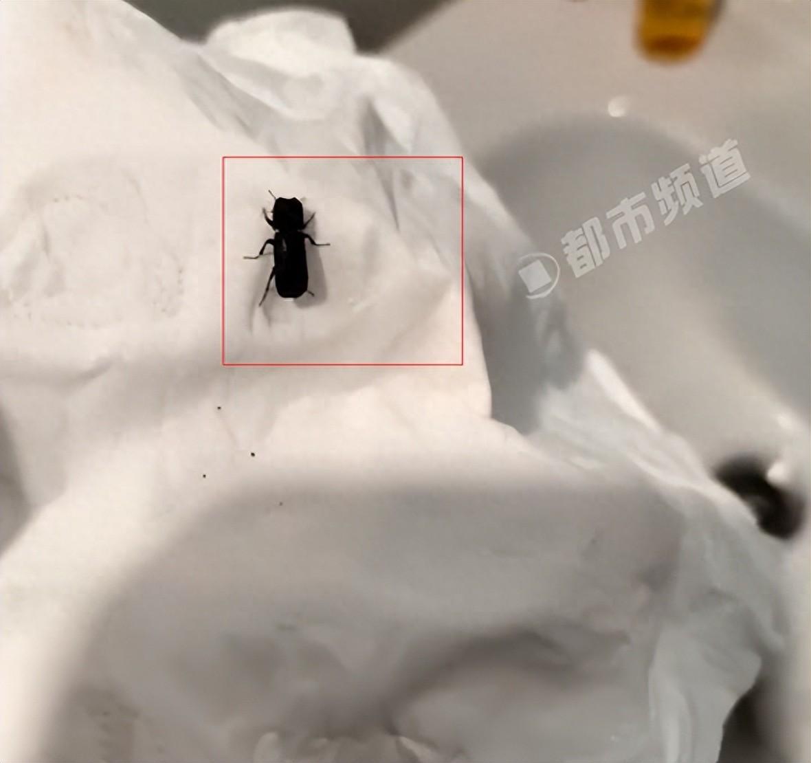 太离奇了！广西，女子一觉睡醒，发现自己头发少了一大截，床上散落一堆整齐碎发，诡异