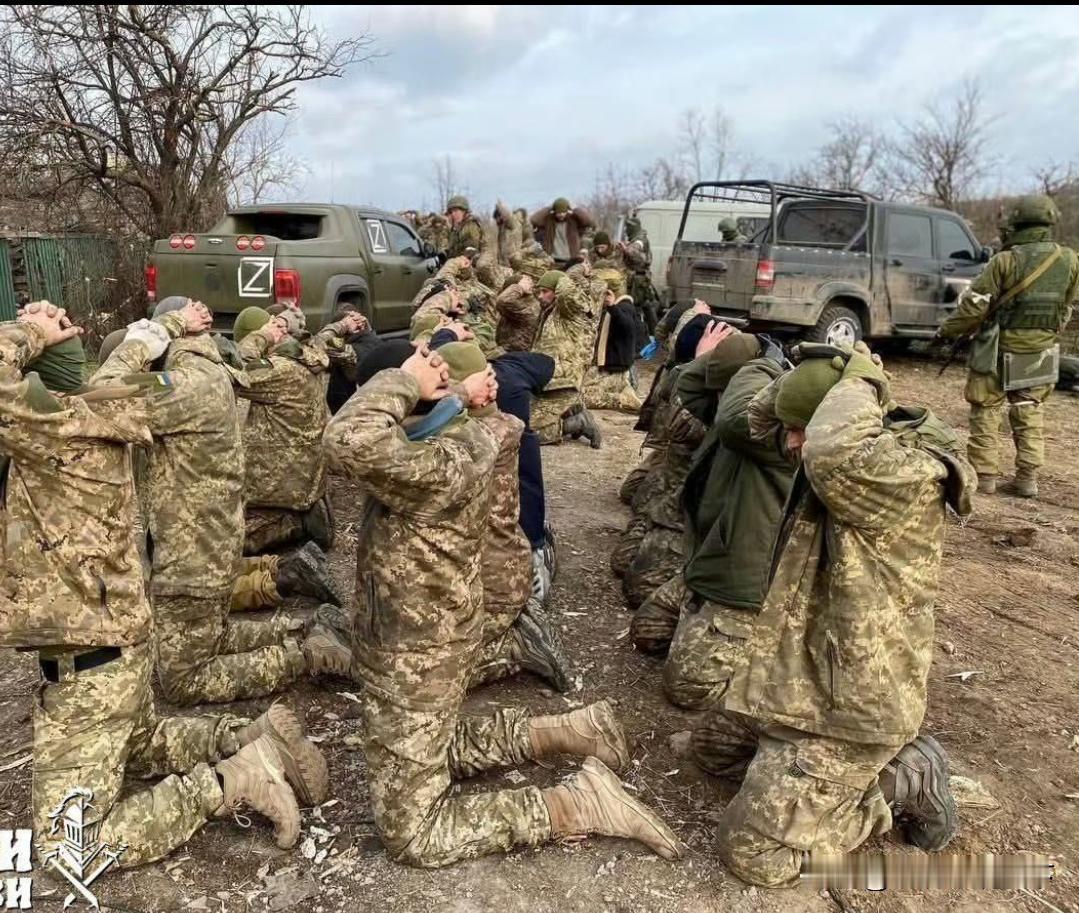 俄军在米尔诺格勒收网行动！一大群乌军被包围后，面对弹尽粮绝的局面，主动向俄军缴械