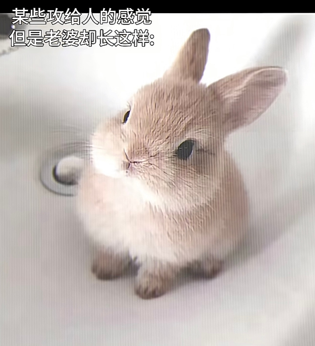 哦莫～这不就是王一博肖战嘛~！​​​