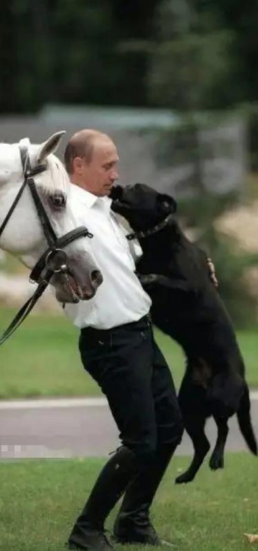 普京大帝厉害人真狠人近日，俄罗斯干了一件让所有人都没想到的；同时解决俄乌战争停