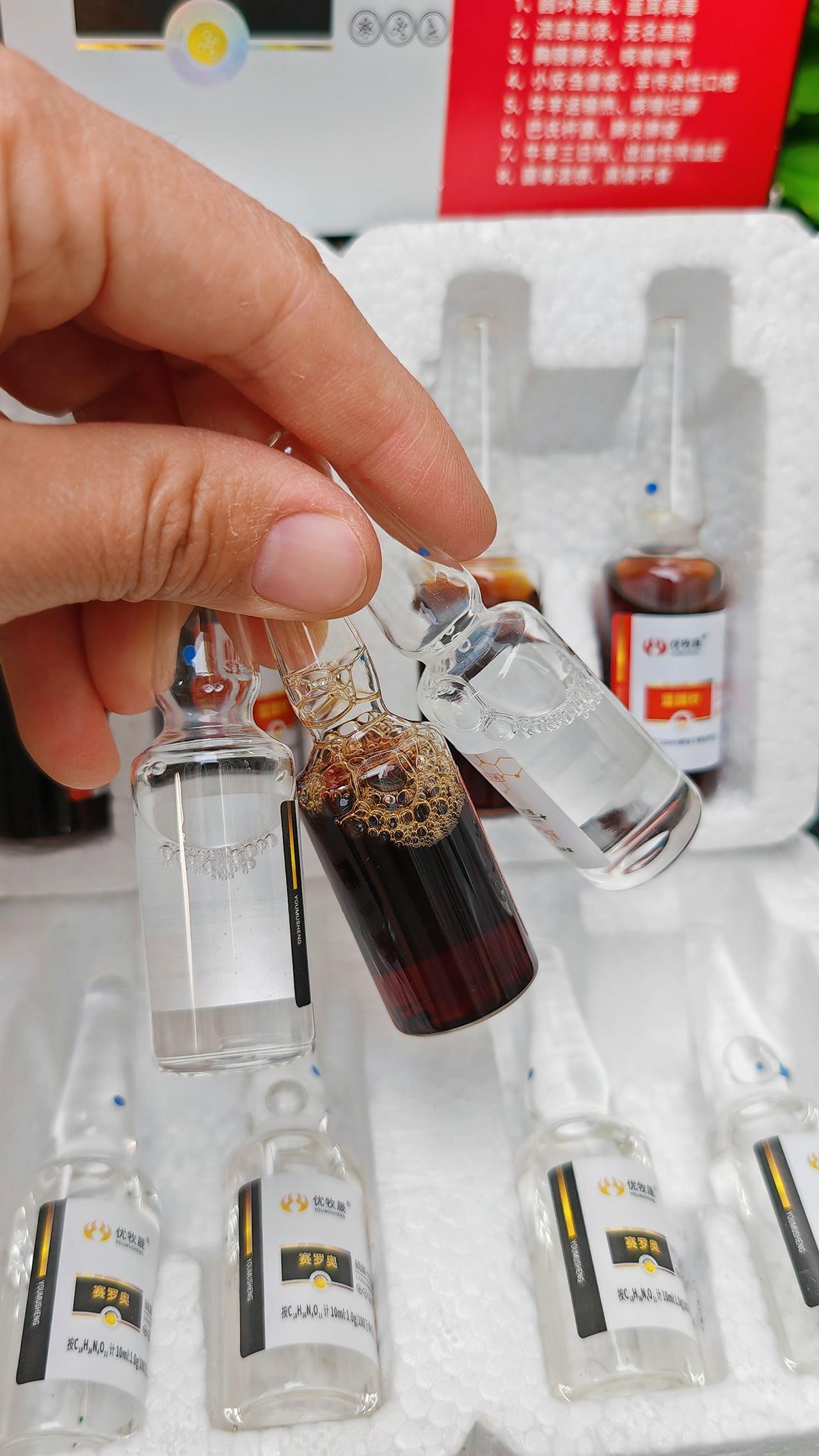 养羊人牛羊养殖农村养羊