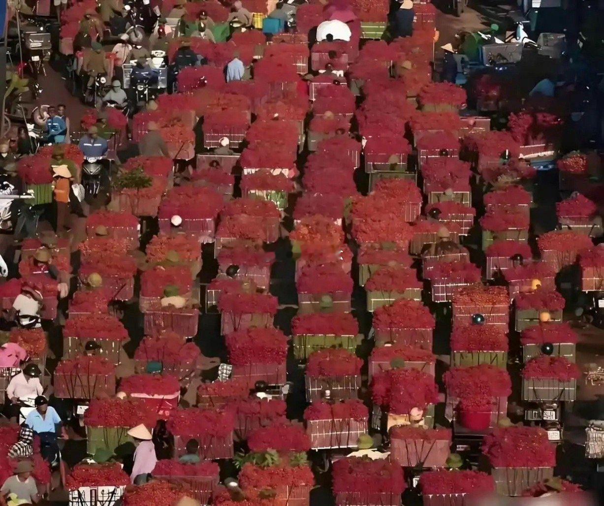 都要烂大街了，为什么还不肯降价呢？