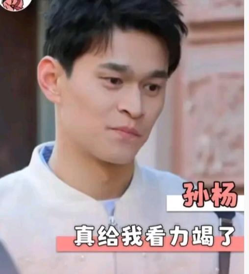 我终于明白为什么孙杨要频繁上综艺了，因为游泳这条路他基本无法走了。2024年5月