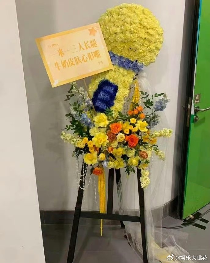 李一桐送刘宇宁花篮李一桐给刘宇宁演唱会送花篮两个人《书卷一梦》太好看啦[
