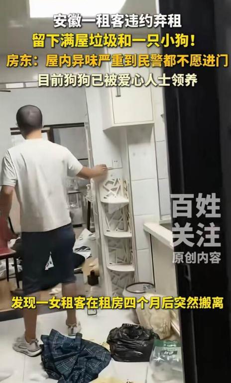 安徽芜湖，女子租房四个月后忽然搬离，房东开门后，发现她什么都没有带走，包括一条萨