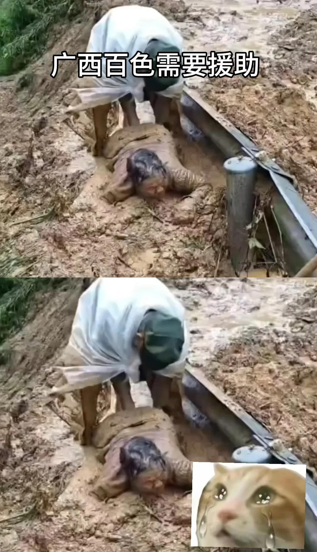 水灾无情人间有爱，广西百色需要援助🙌救援洪水广西广西百色广西水灾广西百