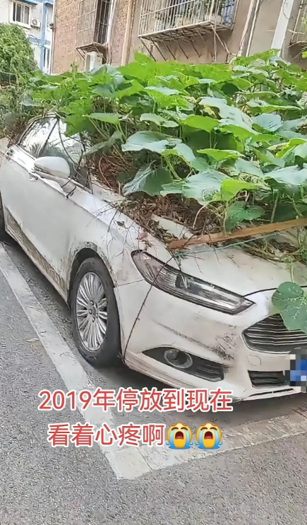 江西，有一女子在网上发文倾诉，她居住的小区有一辆车，从2019年停放到现在，车主