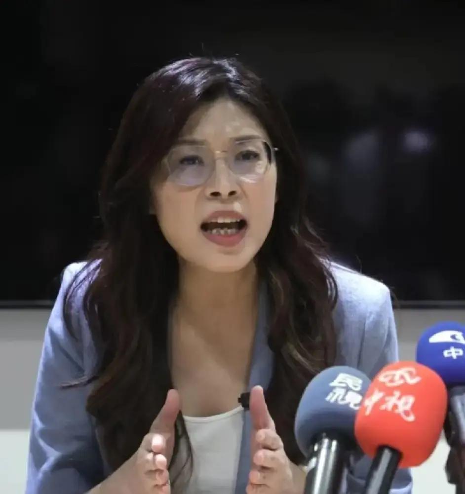 台湾女政客罕见说大实话！郑丽文接受外媒专访时直言