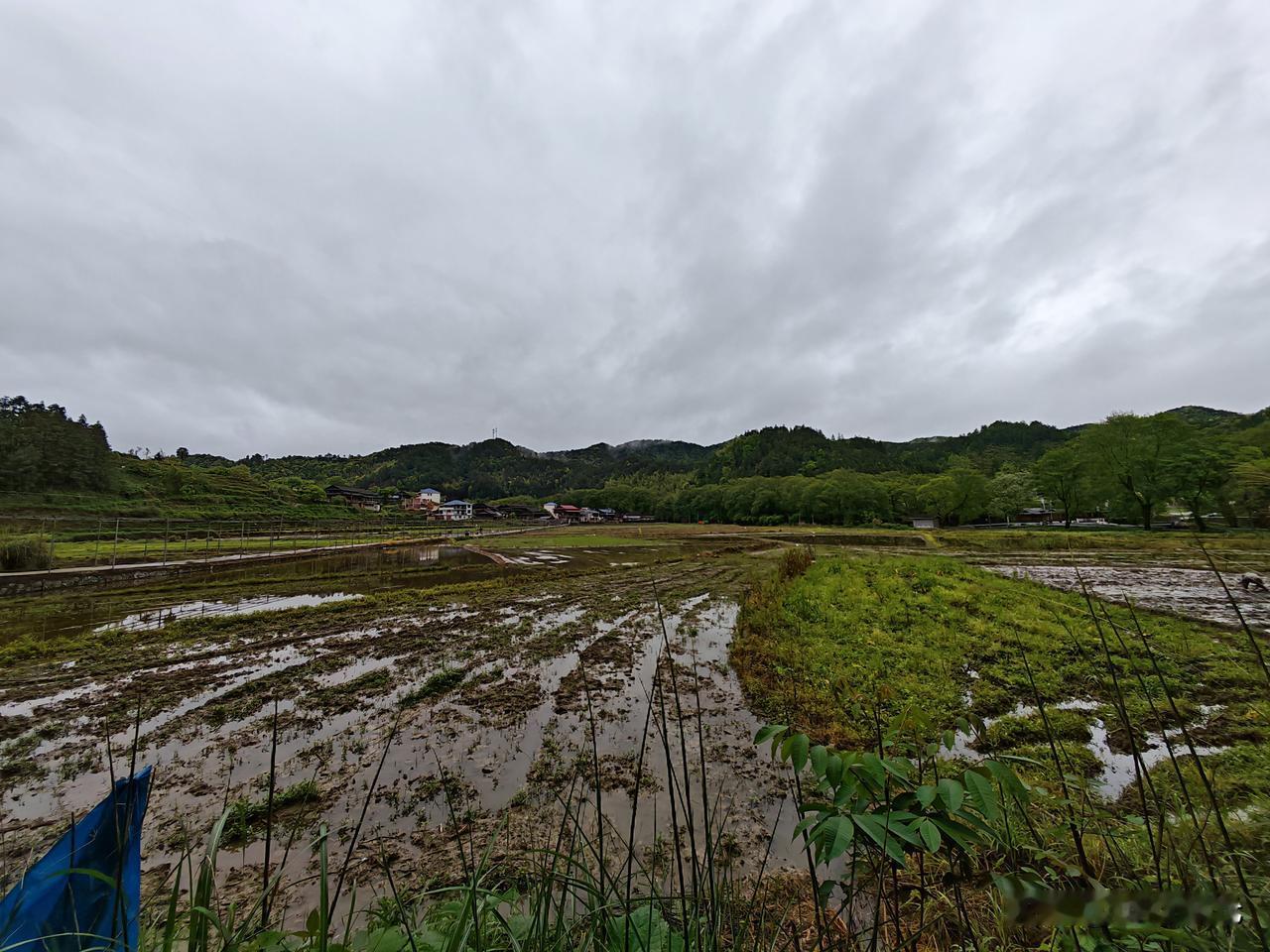 春耕，播种希望的季节今天叫上两个队友，到村部附近几个组看看春耕播种情况，四月