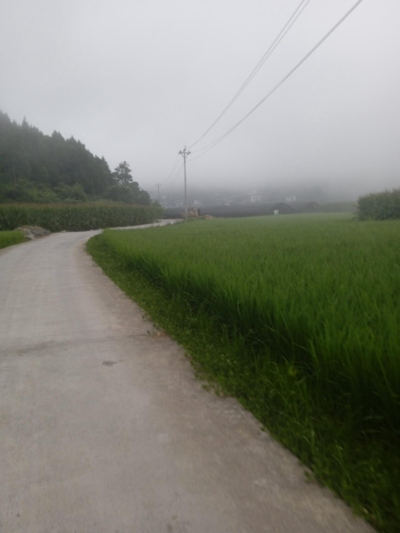 这年头，还有人相信这世间有真正的爱情吗？我们这一个女孩子嫁给了一个跟她父亲一样