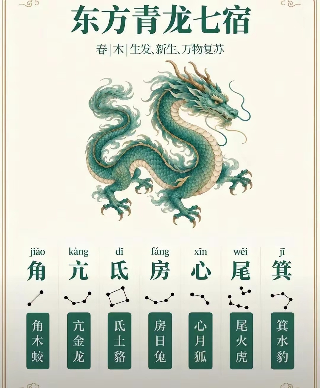 “四大神兽青龙白虎朱雀玄武。”弘扬和传承国学传统文化​​​