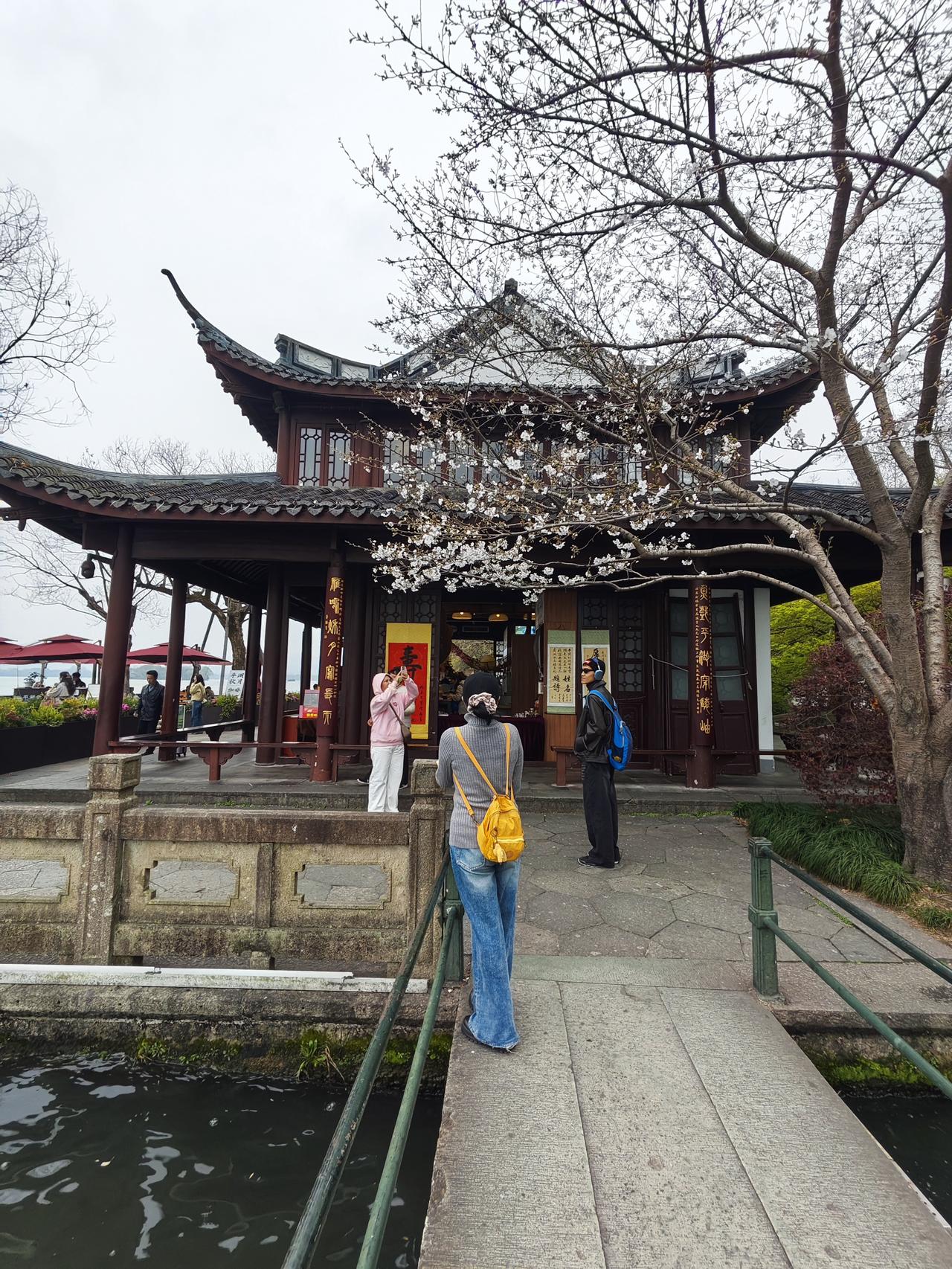 双飞燕子几时回？夹岸桃花蘸水开。春雨断桥人不度，小舟撑出柳荫来。西湖白堤的