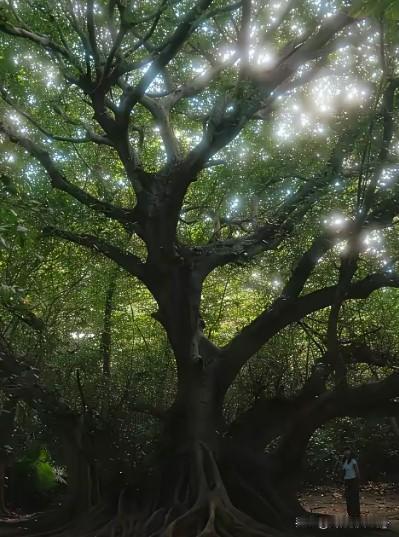 我们单位有个被边缘化的人，40岁了，在单位干了差不多十年混到了中层领导，年前空