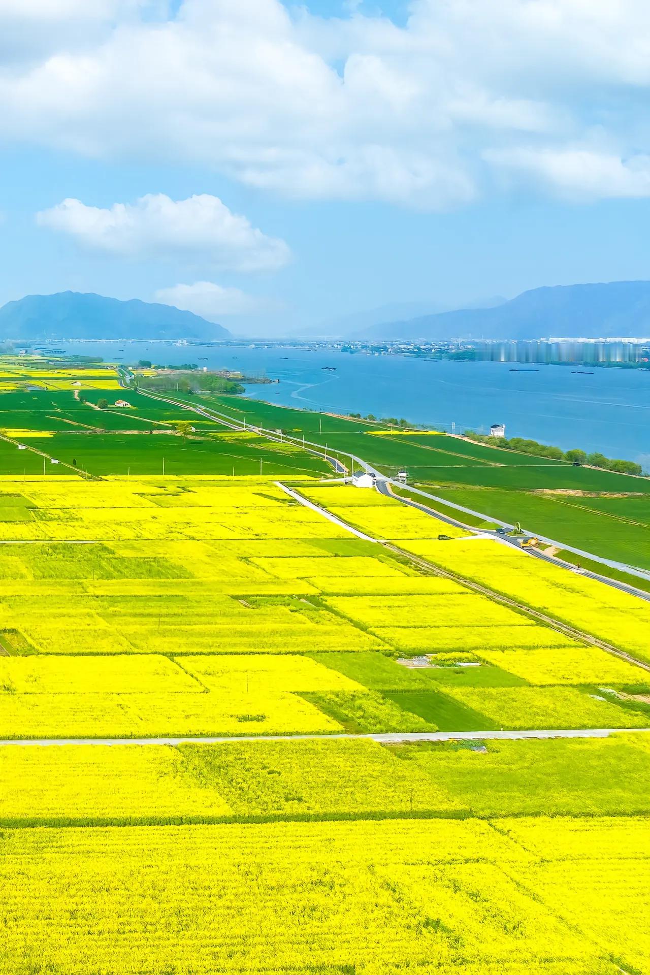 遇到一位初三的学生家长，我觉得这个家长还是蛮厉害的，虽然他自己是南京的知名的大学
