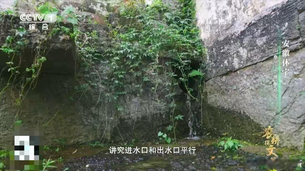 中国古人养鱼用流体力学古人把流体力学玩出了花！精心计算的进出水口让池水自动打转