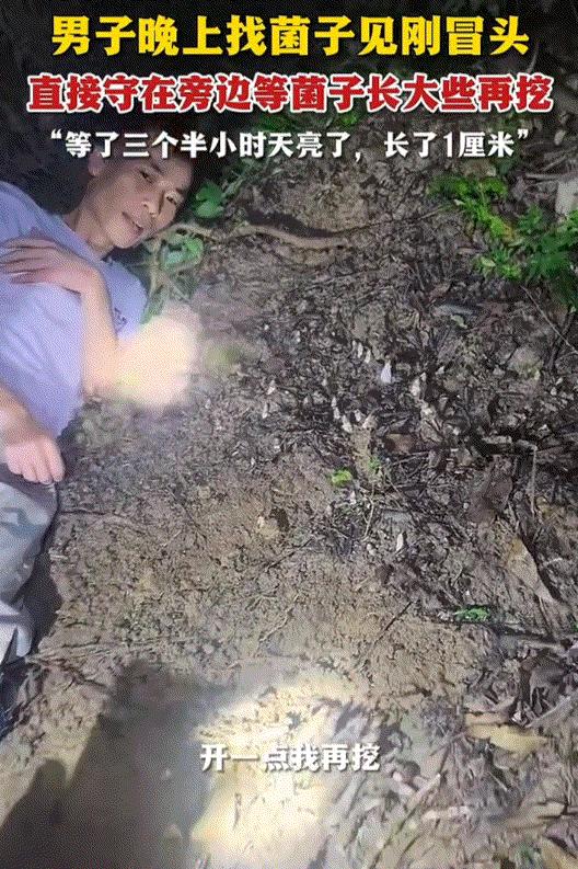🌞真有耐心！7月1日，广西贺州一男子和同伴晚上上山找菌子，不料男子运气特别