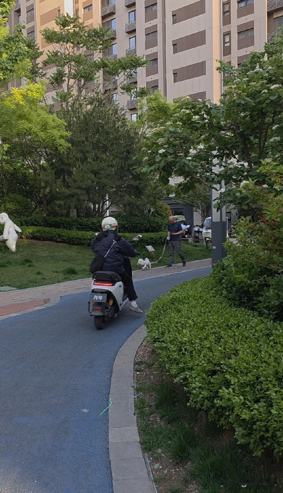 一巴掌打出一个国企高管，很佩服这个妈妈的态度……昨天下午下楼遛狗，在小区遇到