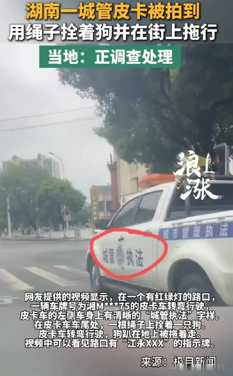 2026年5月28日，湖南江永县某执法部门因缺乏专业工具，将犬只拴于车尾拖行致死