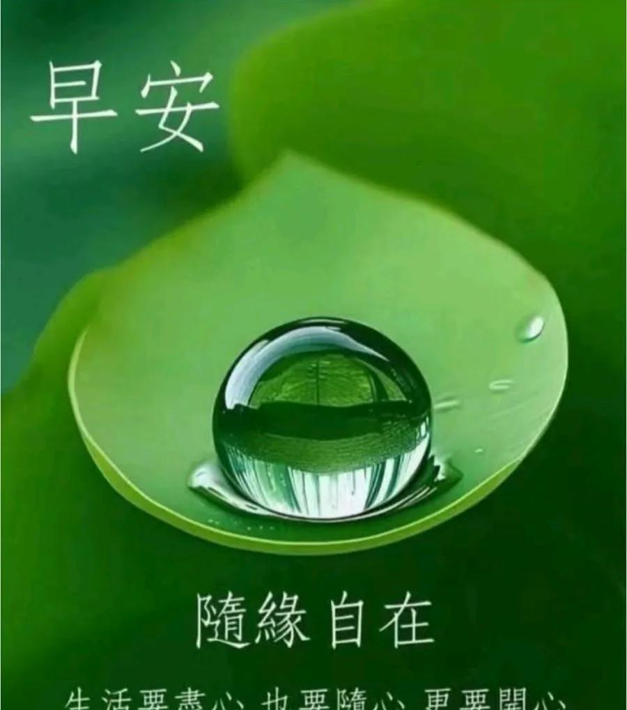 [玫瑰]早上好[玫瑰]隨緣自在生活要盡心也要隨心更要開心簡單一點糊