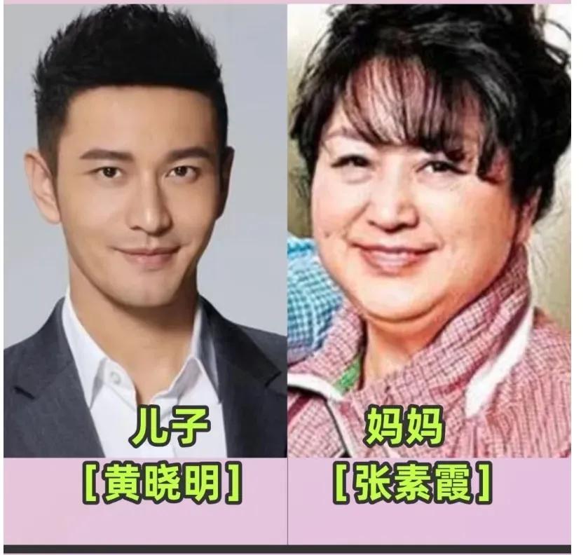 张柏芝母子俩颜值对比照。黄子韬母子俩颜值对比照。王一博母子俩颜值对比照。刘