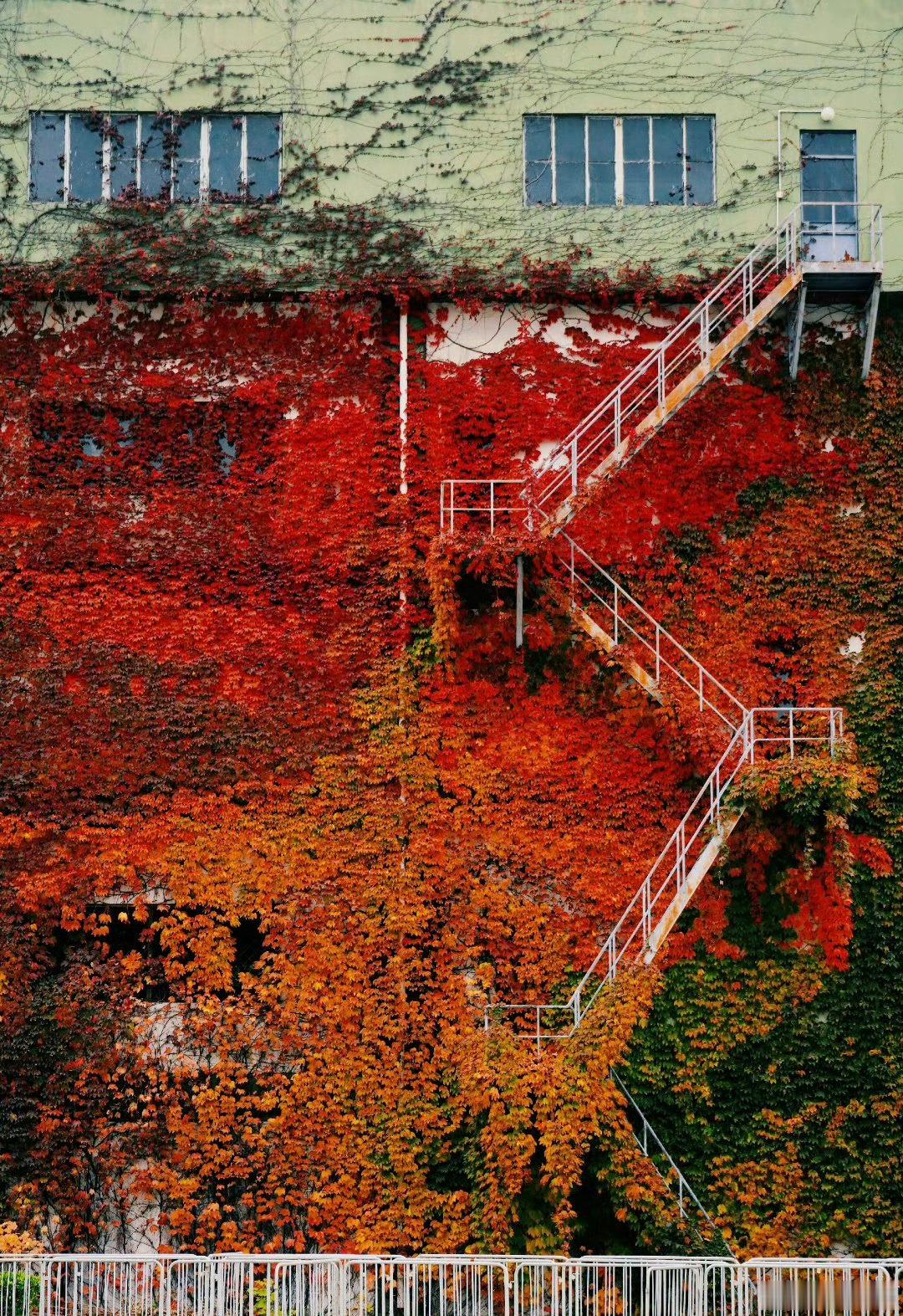 早安早安心语早安,新的一天早安心语超话治愈不开心人生感悟人生微语每天说早