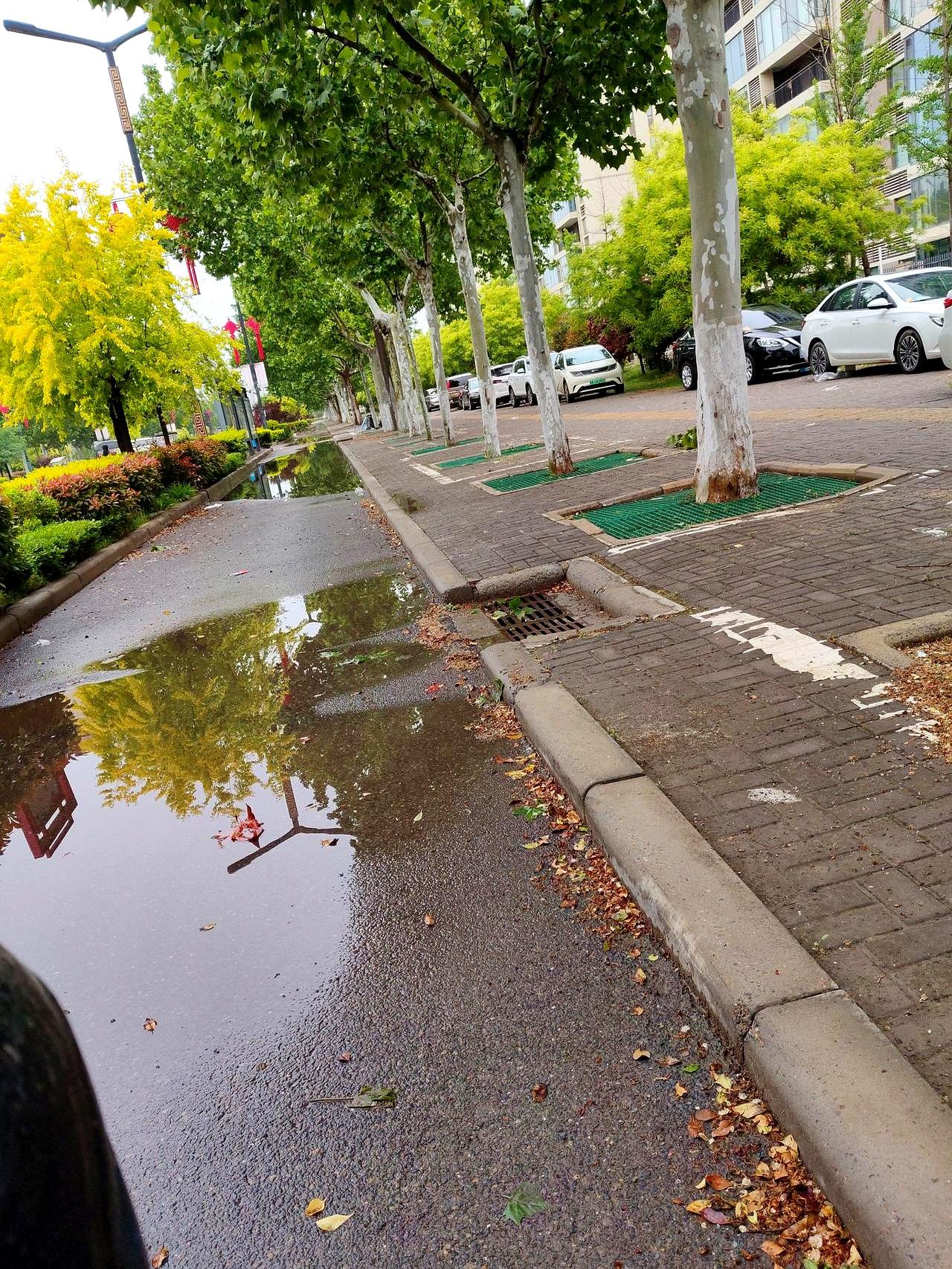 两口子吵架跑娘家，住十来天了老公愣是没动静，连个电话都不打！她这会儿纠结得不行