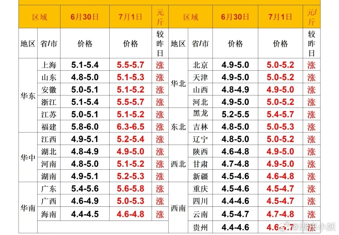 每日猪价