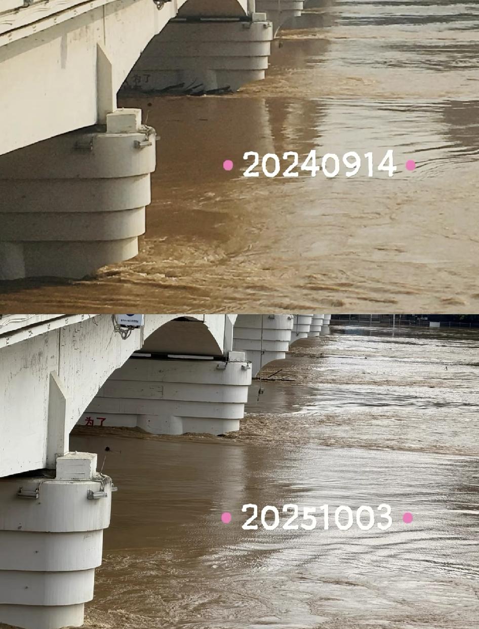 今年的洪水好像确实比去年高一些呢。20号台风博罗依，台风水从越南到崇左到南宁