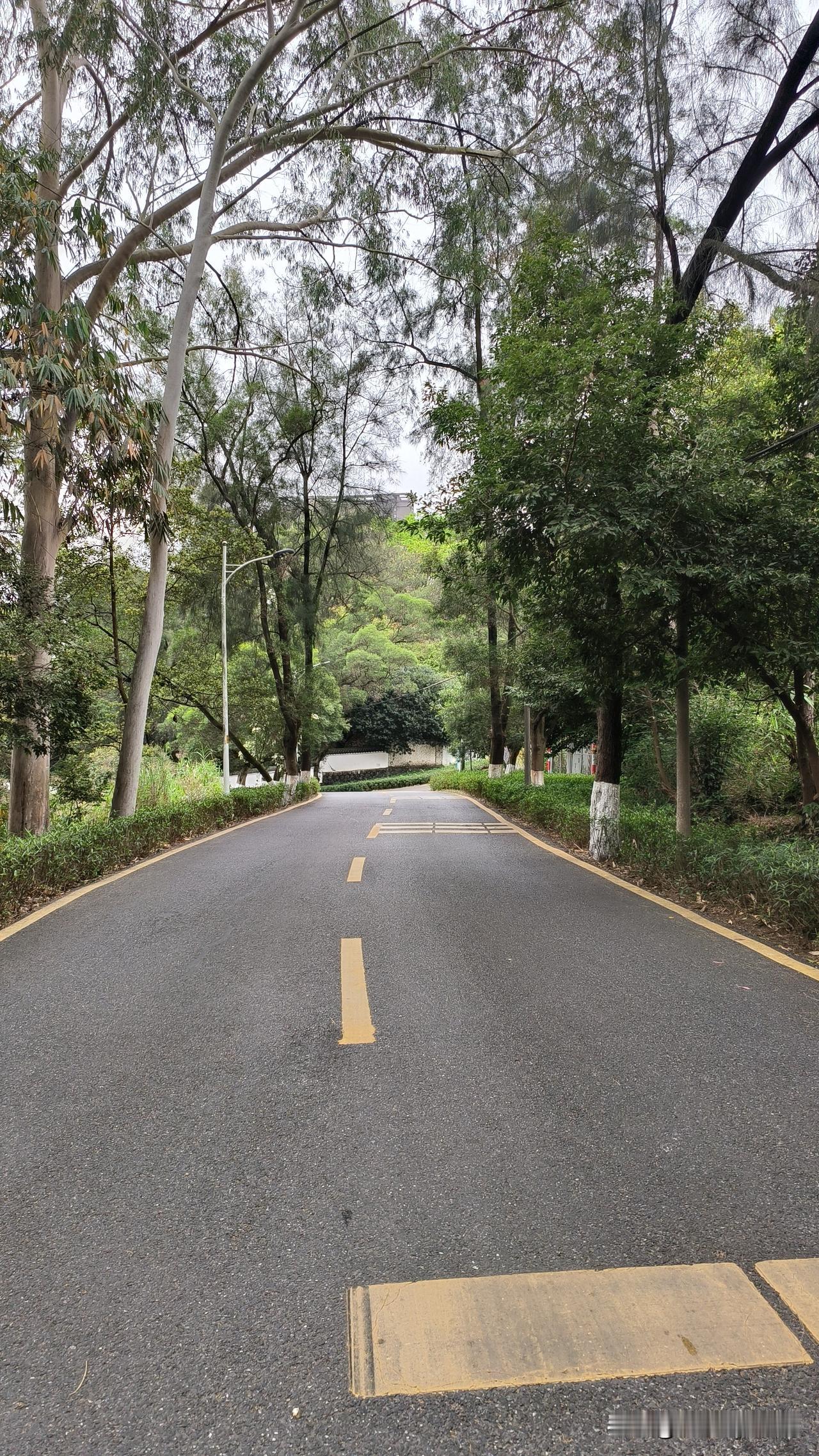 高考报志愿“冲，稳，保”，哪些情况可以大胆冲？第一，可大胆冲的情况，分数与