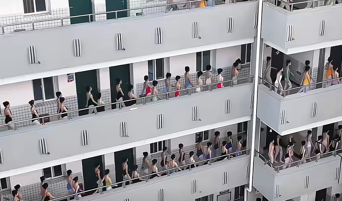 每年舞蹈系毕业的学生那么多，最后都做什么工作了？？？