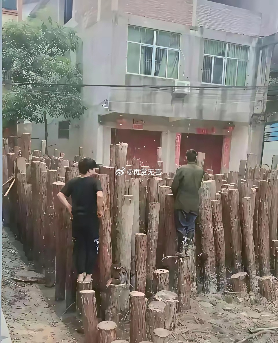 有没有山东的朋友？这个我是真服了，头一回见这么打地基的——直接把这么长的树干打进