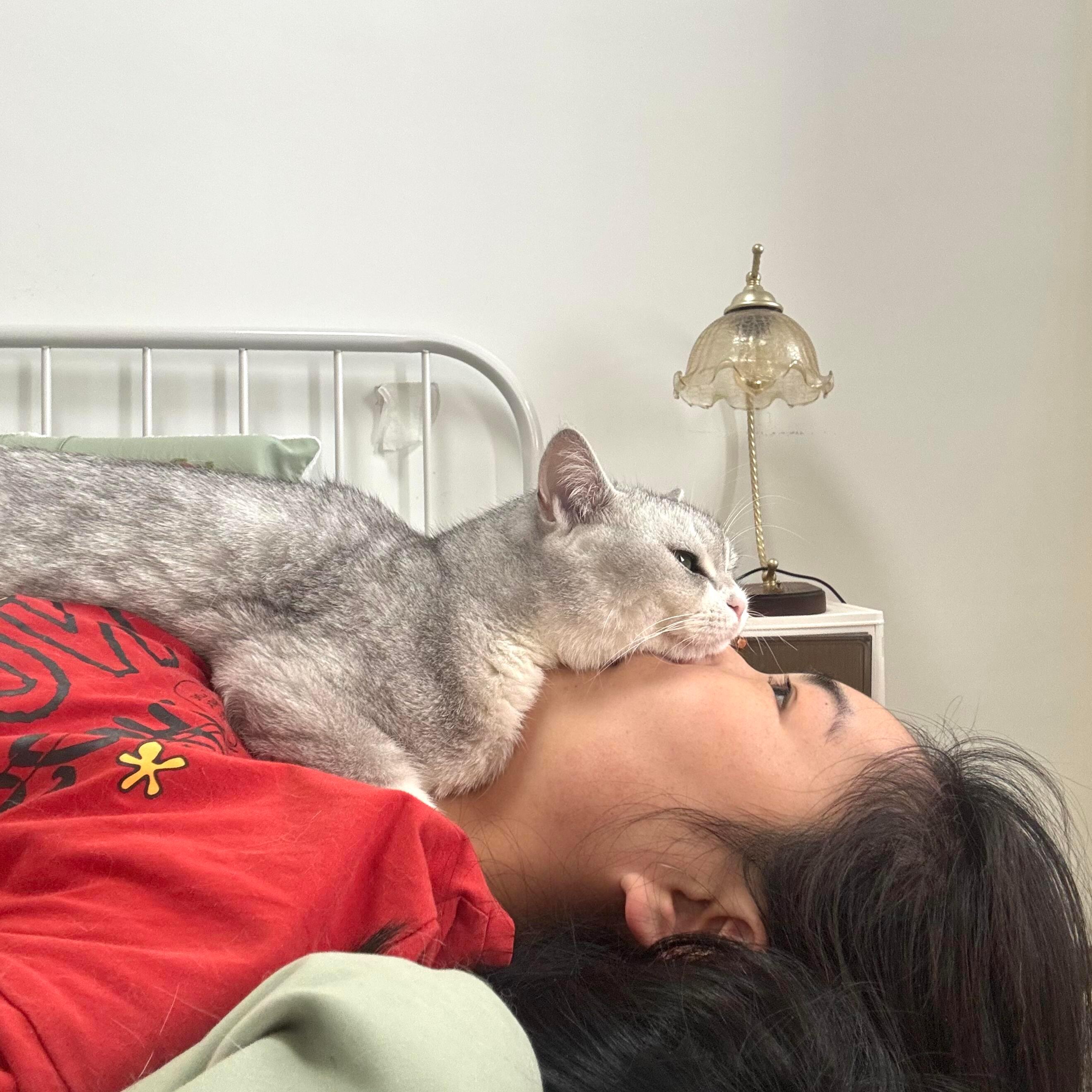 人类是最符合猫体工学的设计​​​
