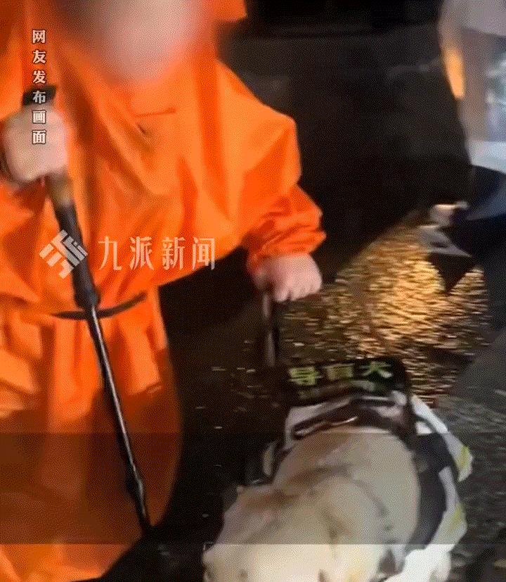 太过分了！最近有网友在雨夜爬泰山时，遇见一对盲人夫妻带着导盲犬爬泰山，本以为是一