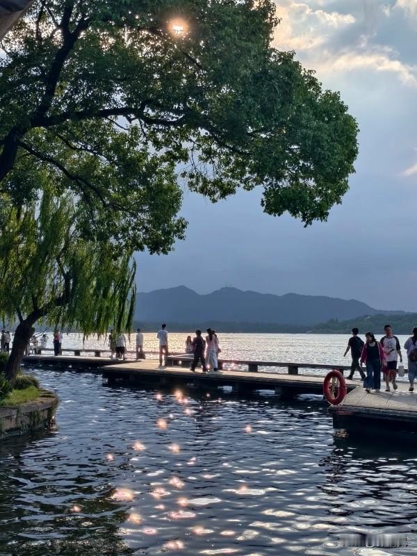 杭州的文明细节，藏在这些科技日常里昨天在杭州的行政服务中心，我看到一位大姐来