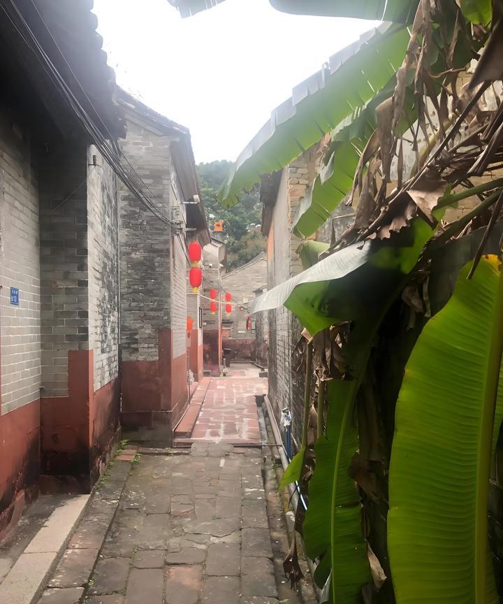 为啥许多人都认同失业了千万别回农村老家，呆在出租屋就好？今天刚刚体会到，以前同