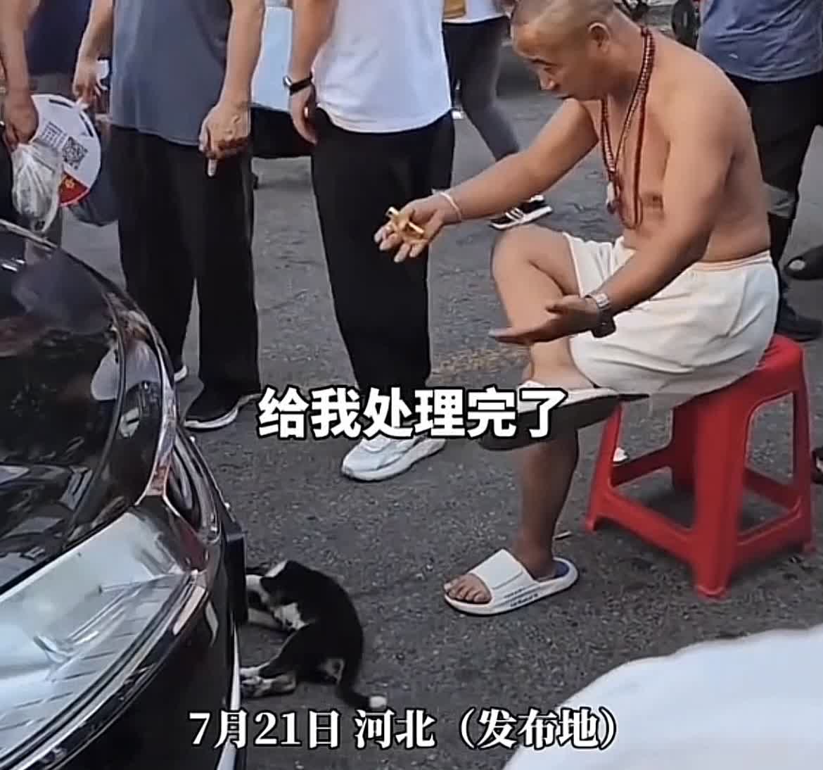 又一个人仗狗势的！河北一宠物狗在马路上被车撞没了，狗主人竟然拿一把凳子坐在前面拦