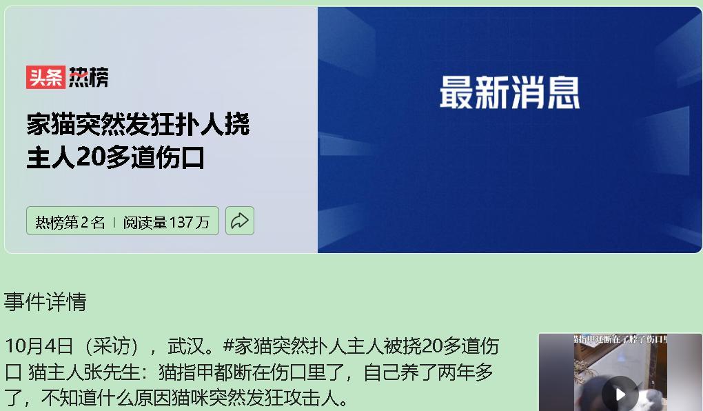“它明明两分钟前还在蹭我腿，下一秒就把我当成杀父仇人。”张先生撸起袖子，二十条血
