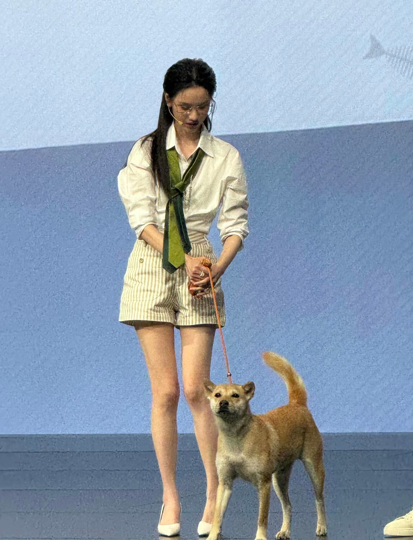 陈都灵活动牵了只狗陈都灵训狗陈都灵训狗有道