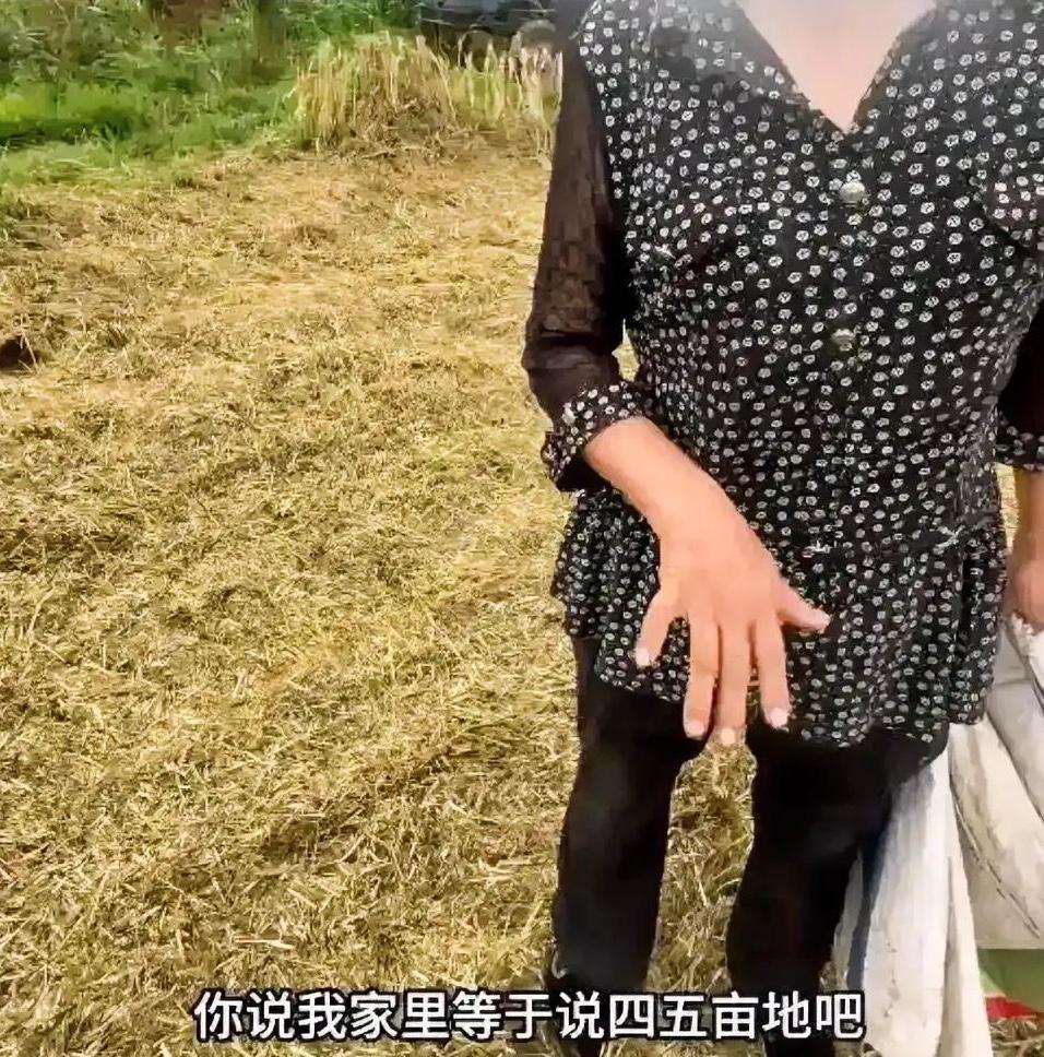 襄阳割麦结局：如今麦田没人敢来接活，河南小夫妻连夜返程，明恐怕不会再来了。这