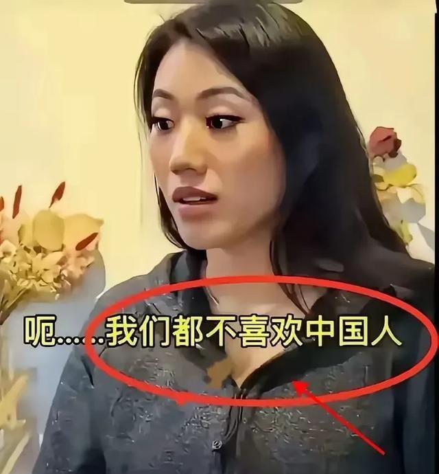 新加坡70%都是华人，但很多年轻人却说：他们并不喜欢中国，不喜欢中国人，也不了解