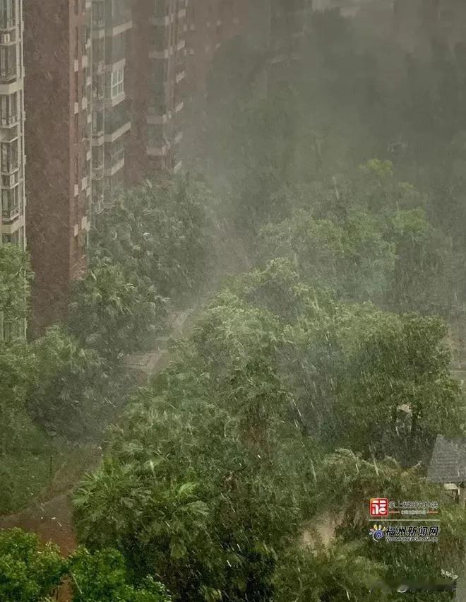 许久未曾下雨，四处皆是干旱之象。终于，昨夜南宁电闪雷鸣，降下一场大雨，一场堪称及