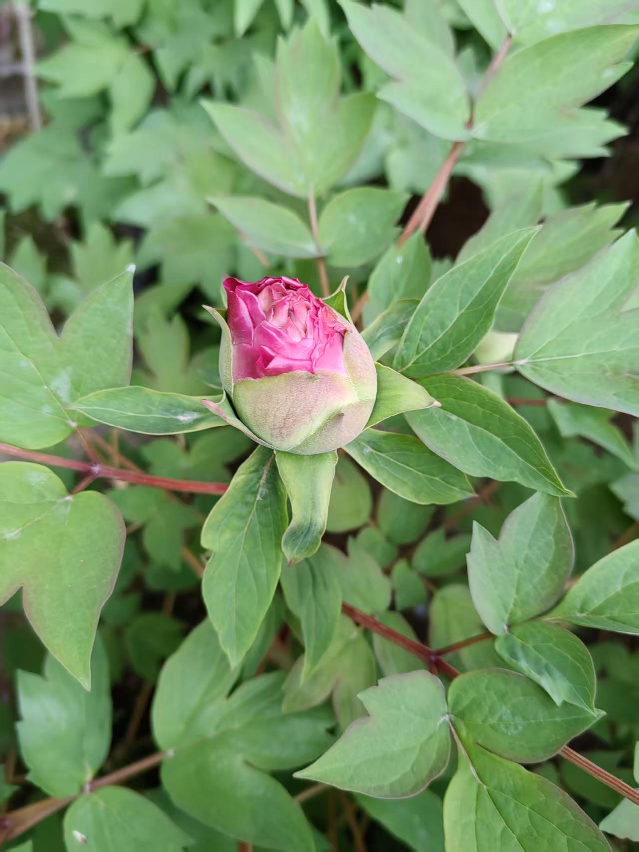 教师资格证教师资格证，是当下进入准教师行列的必备证件。我的早年间的一位学生，