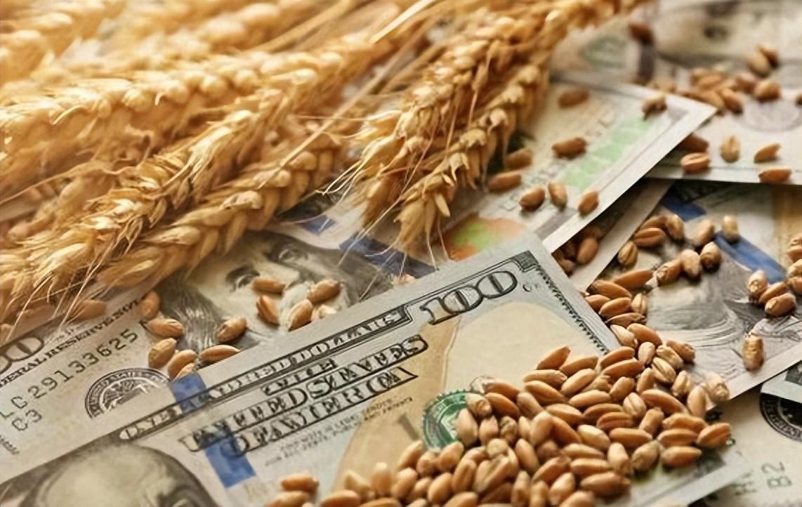 打不过中国，饿垮中国行不行？西方媒体算了笔账，看得我大受震撼2024年美欧