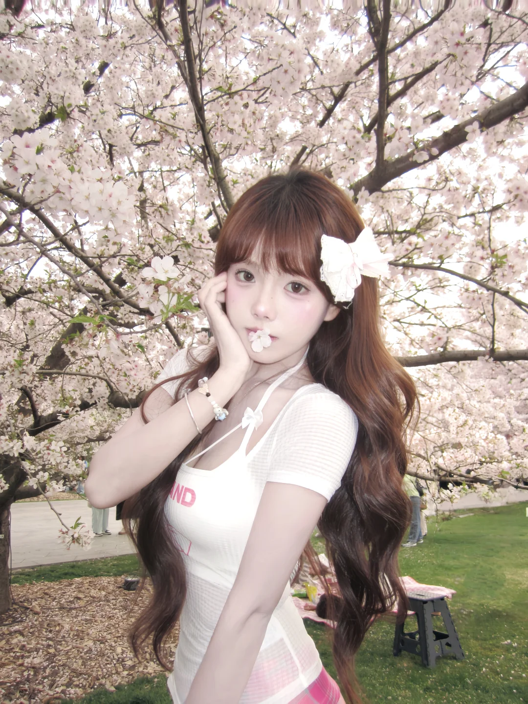 さくらさくら、い たい 🌸₊˚