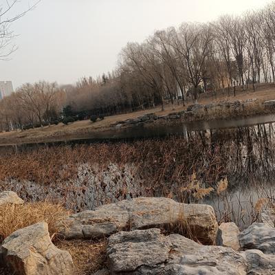 从云南回来，他先去她家，把厨房和冰箱全换了一遍新的。给了五千块让她去学车。驾