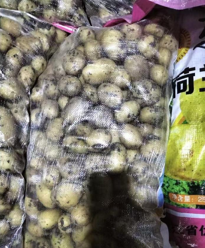 “同样是土豆，同一个收费站，一车免费放行，一车却被认定成‘种子’要交5711元过