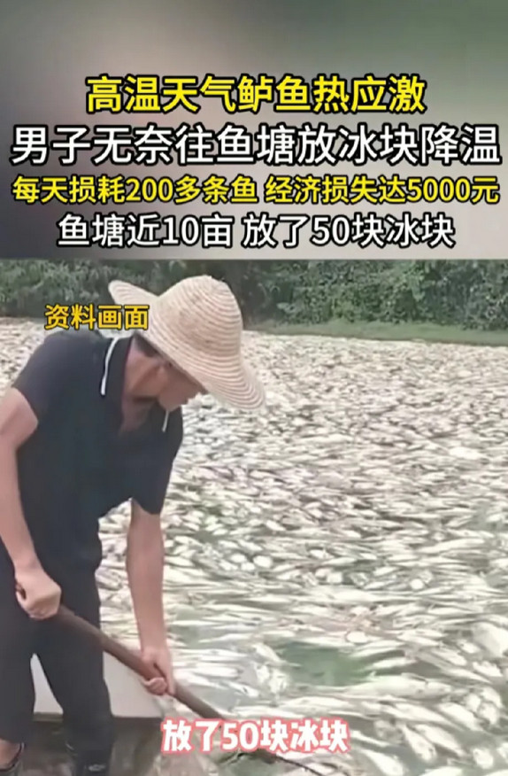 多读书真的有用！不信你看给鱼塘放冰块的大哥，不仅浪费1000多买冰，而且还被