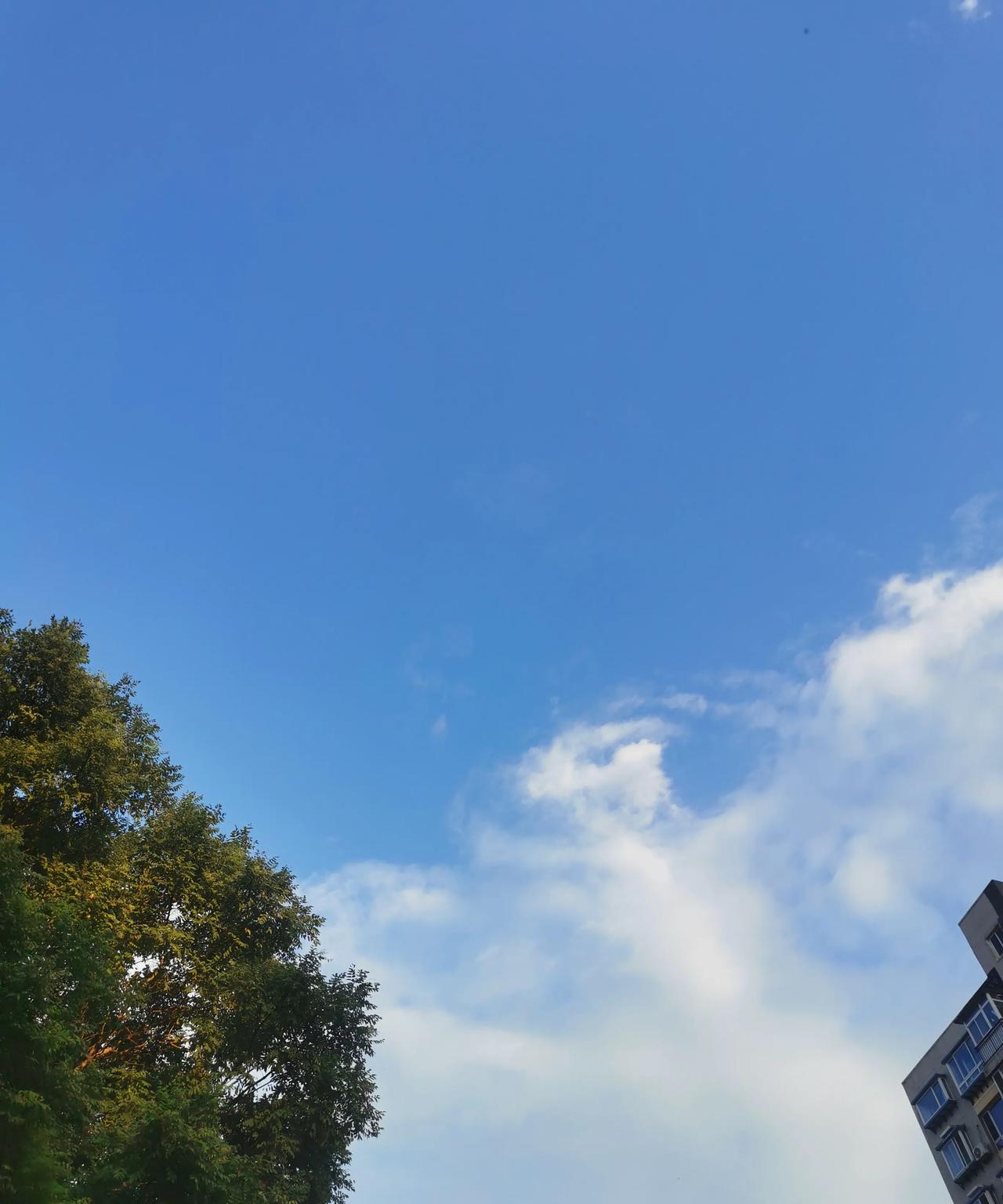 #随手拍一张你所在城市的蓝天景色#[吃瓜][吃瓜]