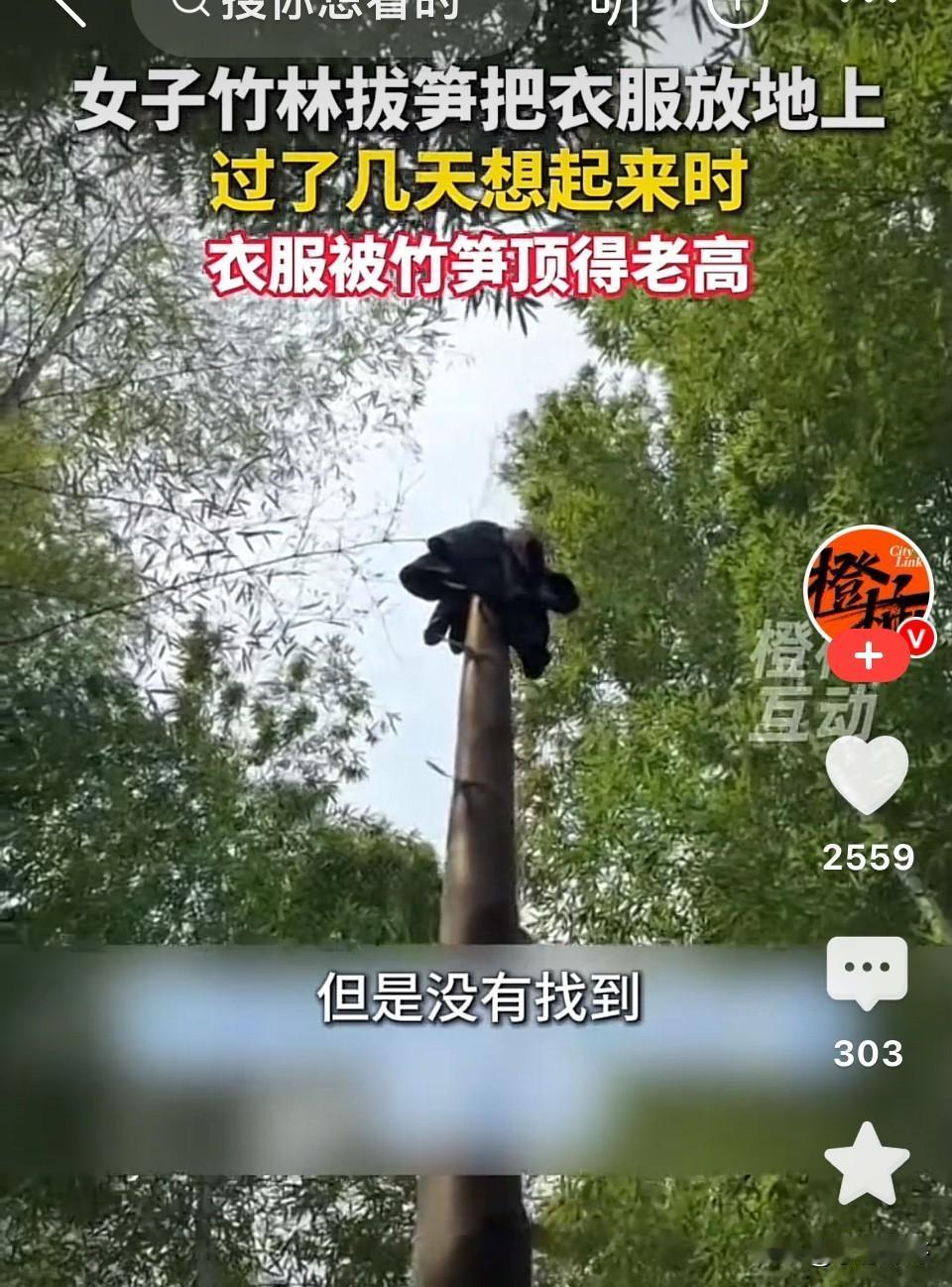 北方人长见识了！福建，女子竹林内挖竹笋，感觉热了就把外套脱了随手放在地上，等想起